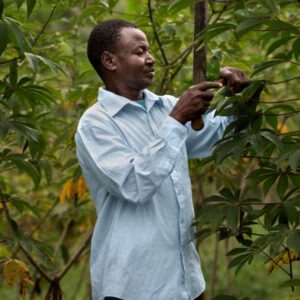 Gold Plan – Medium Density & Small-Scale Farmers Membership