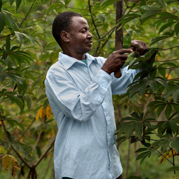 Gold Plan – Medium Density & Small-Scale Farmers Membership